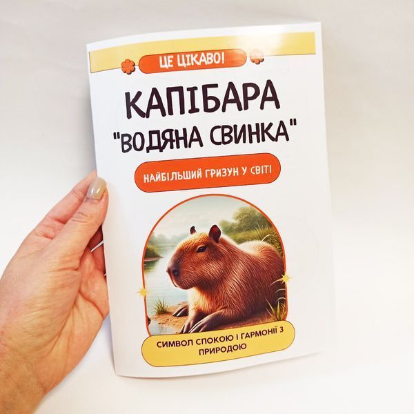 Подарунковий набір Капібара - сумочка, пін, блокнот, листівка, наклейки 2620074153 фото